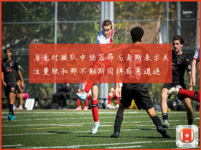 马竞对狼队中场若昂戈麦斯表示关注曼联和那不勒斯同样有意追逐